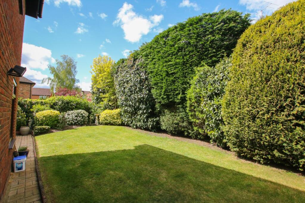 House in Reading - More