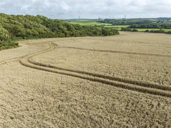 Corton Farm - Land