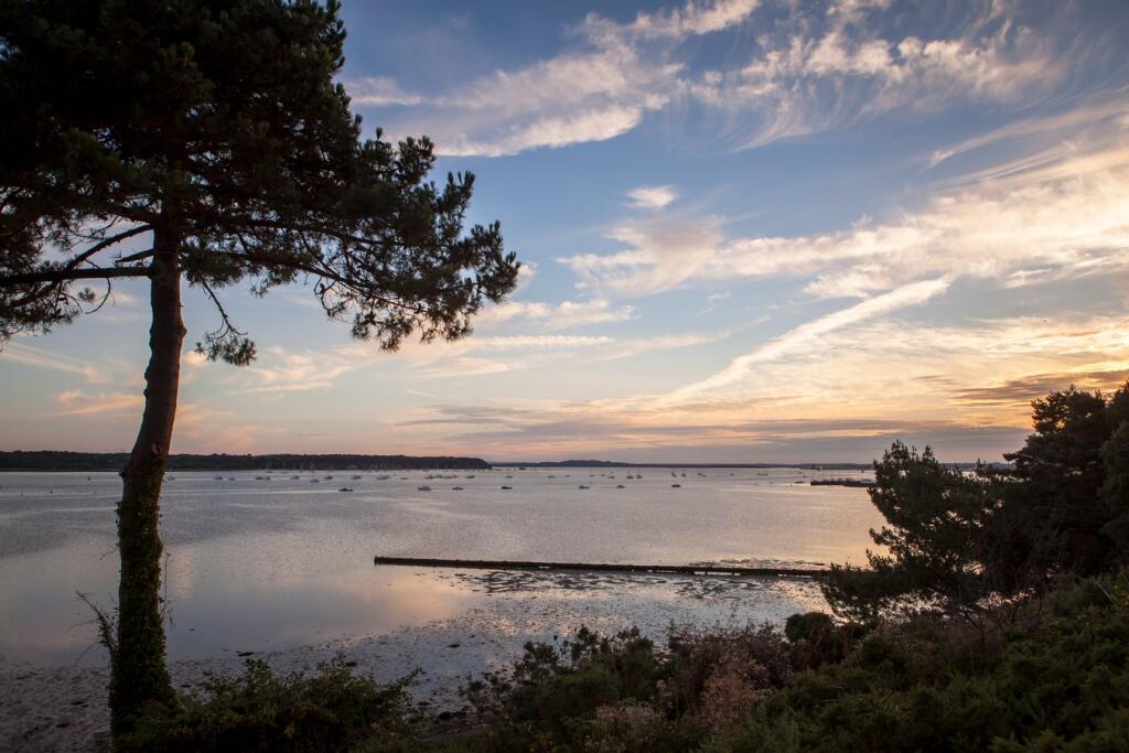 Additional image 26 of Harbour Watch 391 Sandbanks Road, Evening Hill, BH14