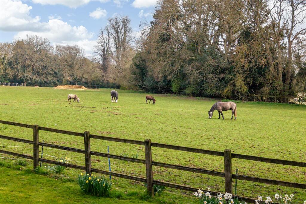 Additional image 29 of Ayot St. Lawrence, Welwyn