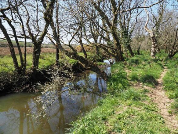 River Torridge.jpg