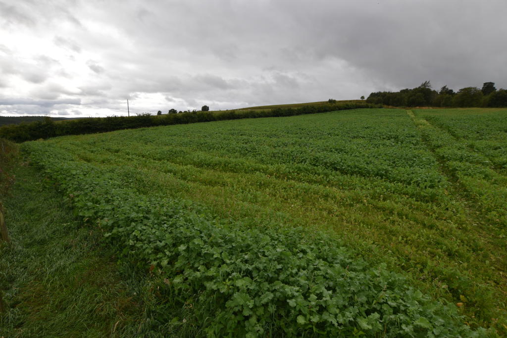 Site at Mill Of Towie, Keith - View 5