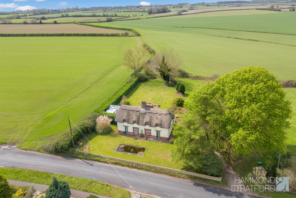 Pages Lane, Saham Toney photo 2