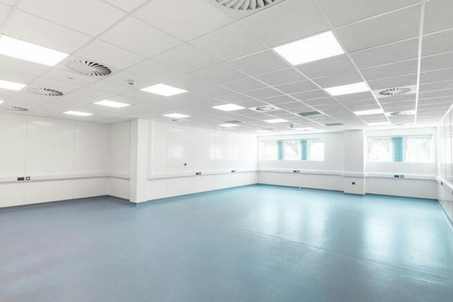 K1 Refurbished Labs-4.jpg