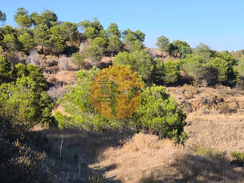 Main image of property: Algarve, Azinhal