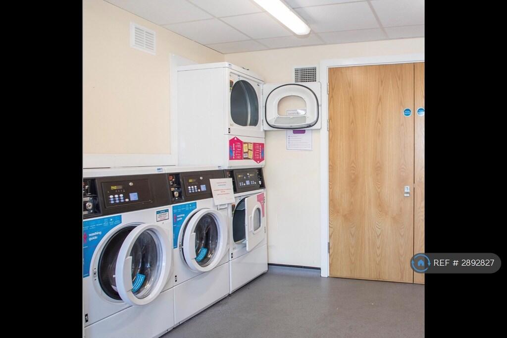 1 bedroom flat share for rent