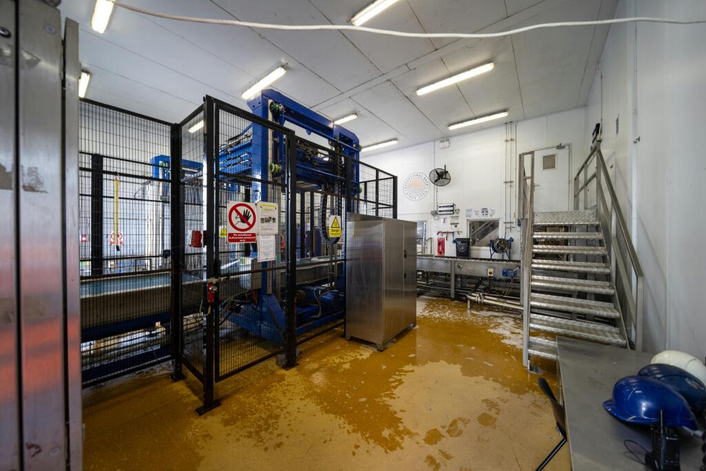 Sharps Brewery Cornwall 29.jpg