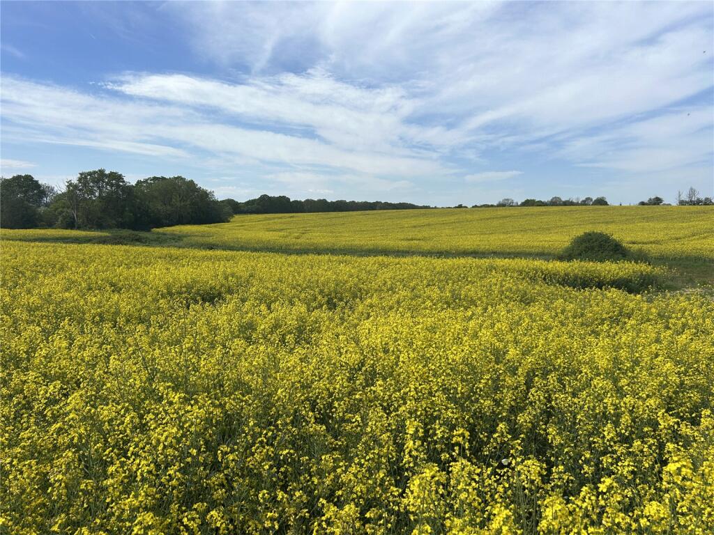 Main image of property: Ilminster, Somerset, TA19