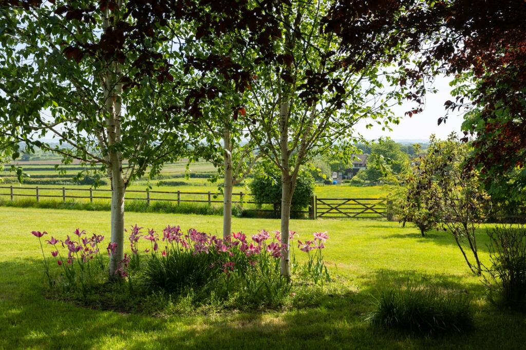 Additional image 15 of Butleigh, Glastonbury