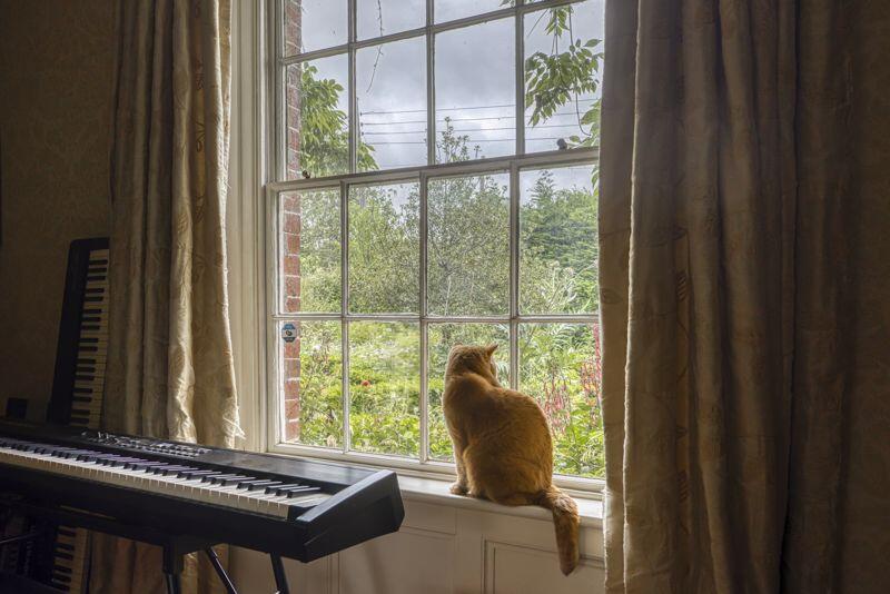 Additional image 9 of Open countryside views in West Pennard