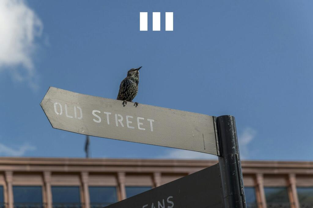 8 City Road Urban Street Signage With Perched Bird.jpg