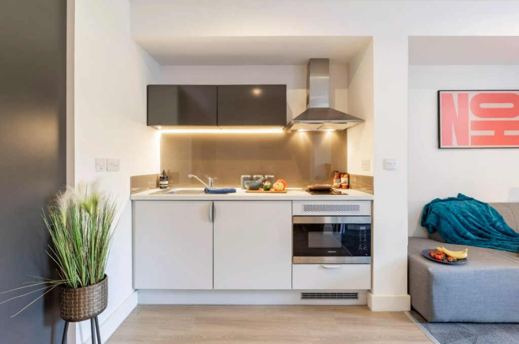 1 bedroom apartment for rent