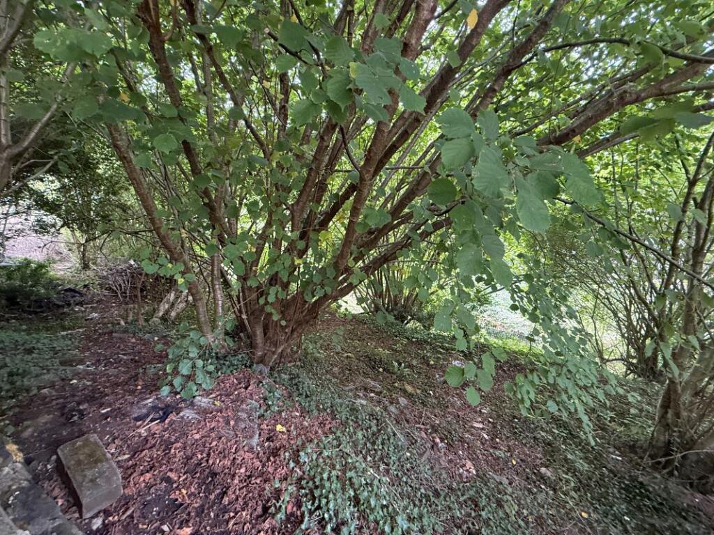Land and 2 garages Hurford Crescent, Graigwen, Pontypridd, Mid Glamorgan, CF37 2LD photo 5