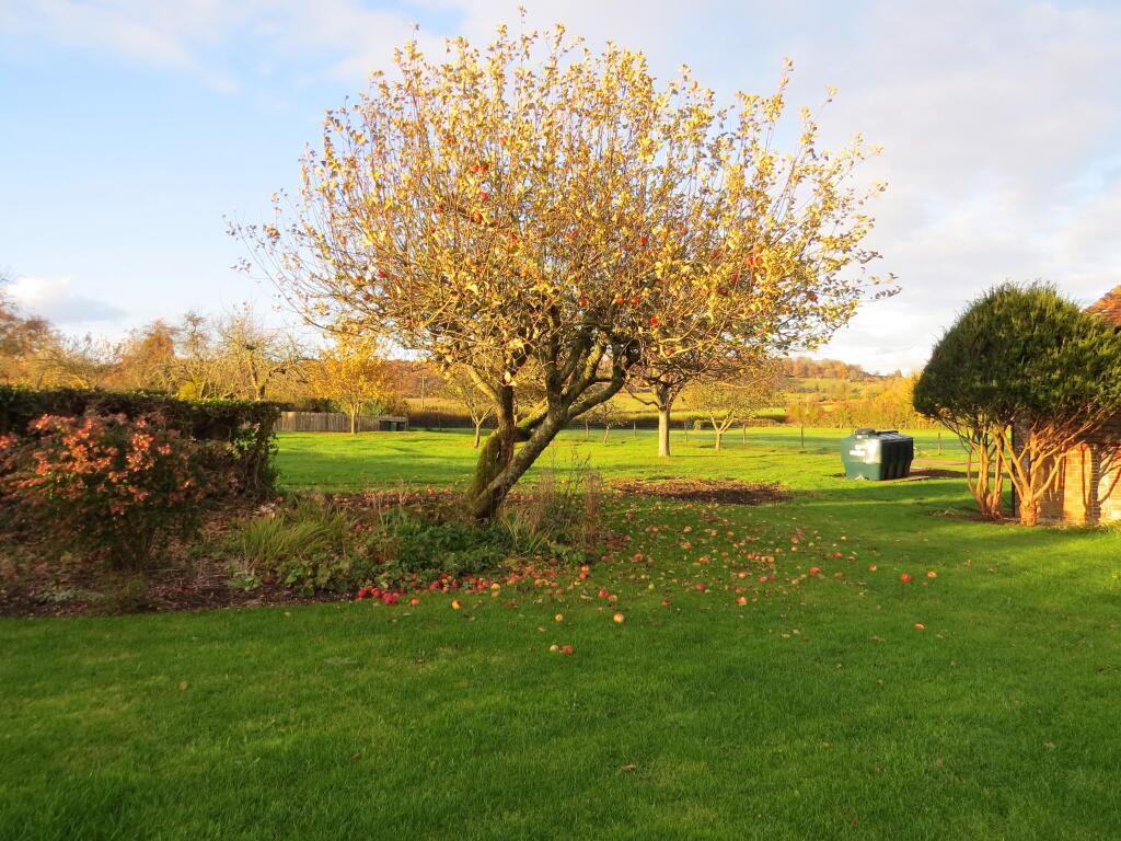 Property photo 11