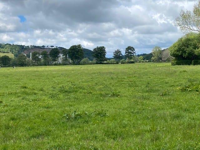 Felinfach, Lampeter, SA48 - View 2