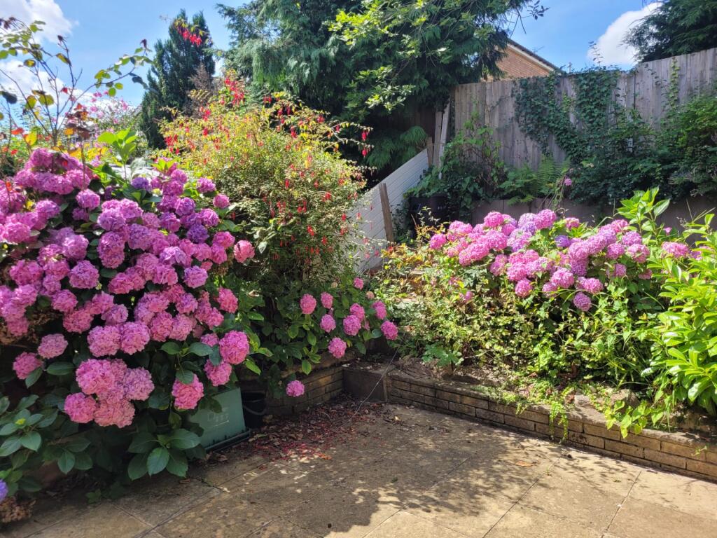 4 bedroom house for rent