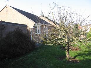 Photo of the property