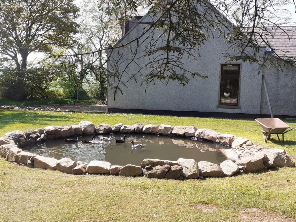 Additional image 23 of Wester Pettymarcus, Clola, Mintlaw, AB42 5AF 