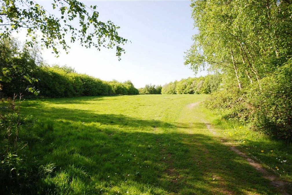 Photo of the property