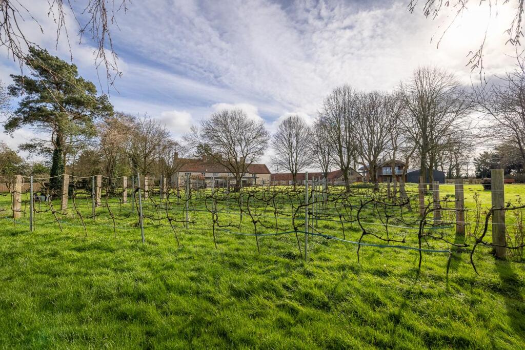 Additional image 34 of Muchelney Road, Baltonsborough, Glastonbury, Somerset, BA6