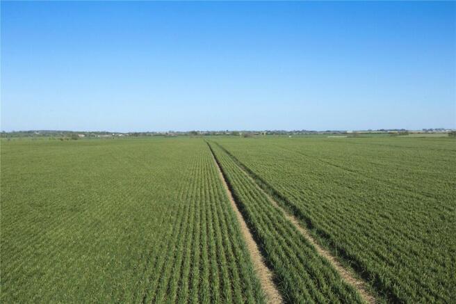 Farmland