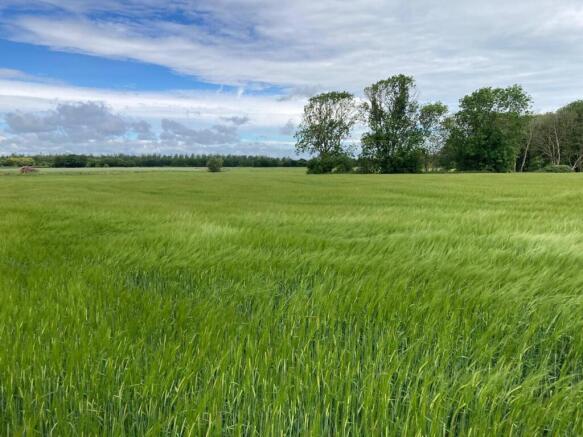 Arable Land