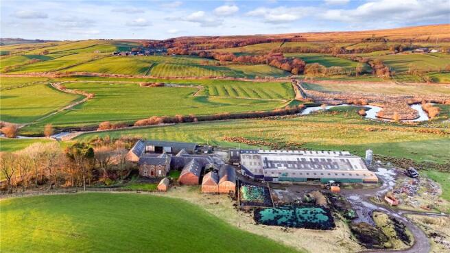 Blackwood Farm