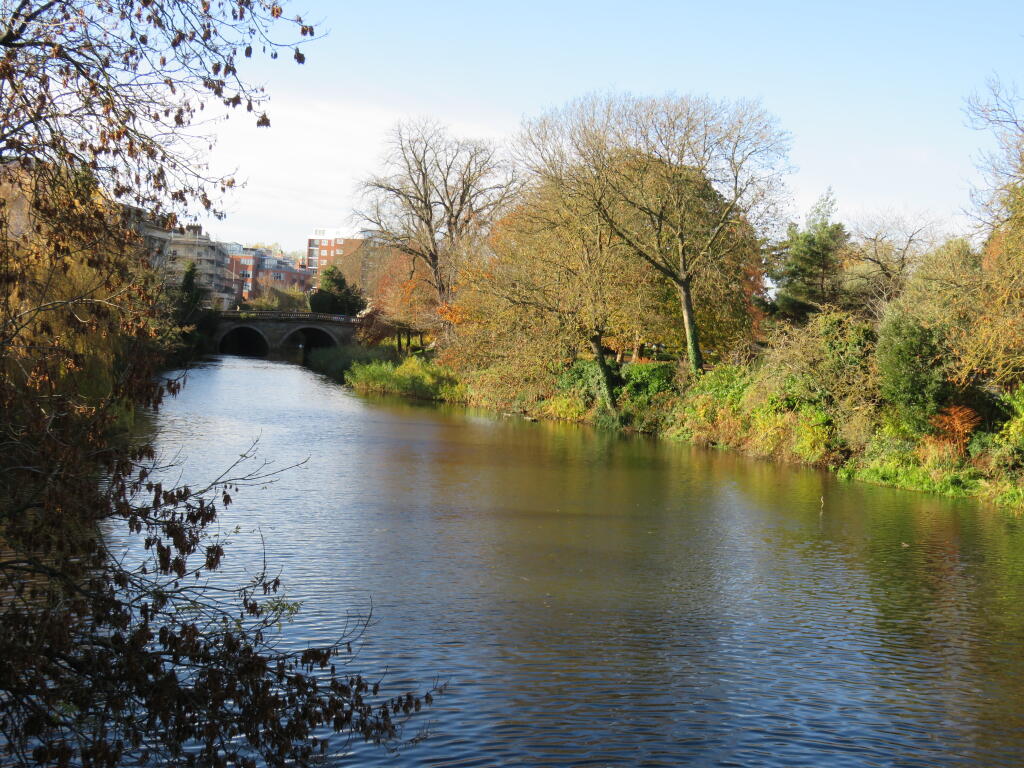 1 bedroom house share for rent