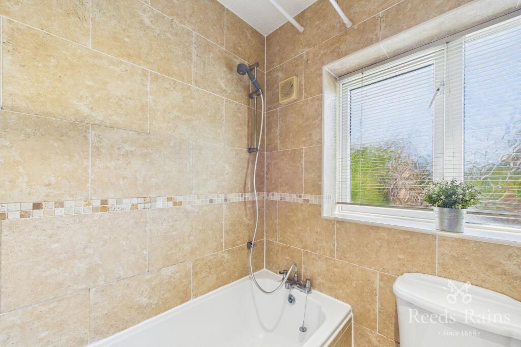 3 bedroom house for rent