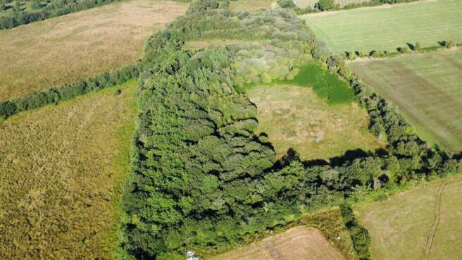 Ecological Interest