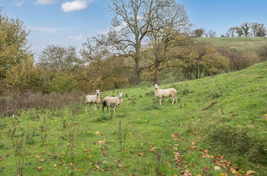 Additional image 24 of Lime Kiln Lane, Castle Cary, Somerset, BA7 7NX
