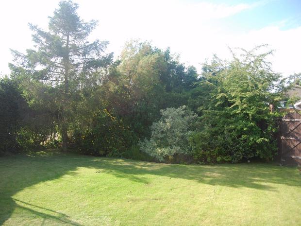 Photo of the property