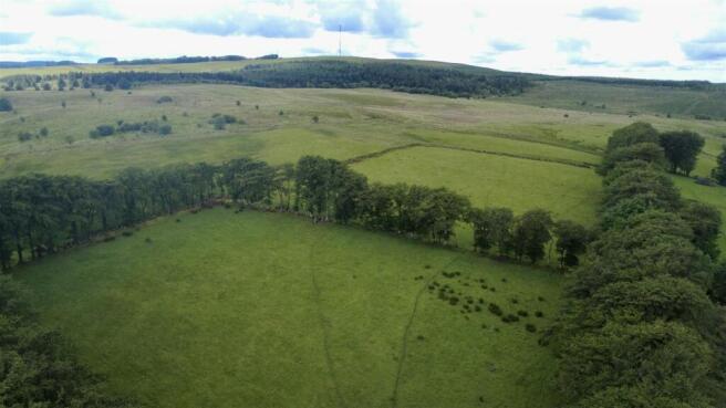 dji_fly_20260602_153252_959_1780410848011_photo_op