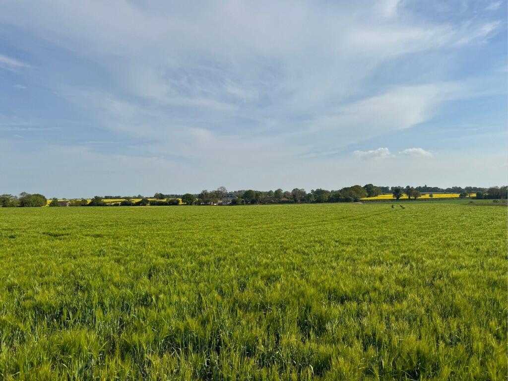 Main image of property: Land at White Heath Road, Bergh Apton, Norfolk
