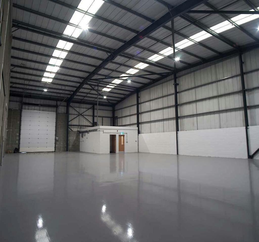 park court 6.jpg