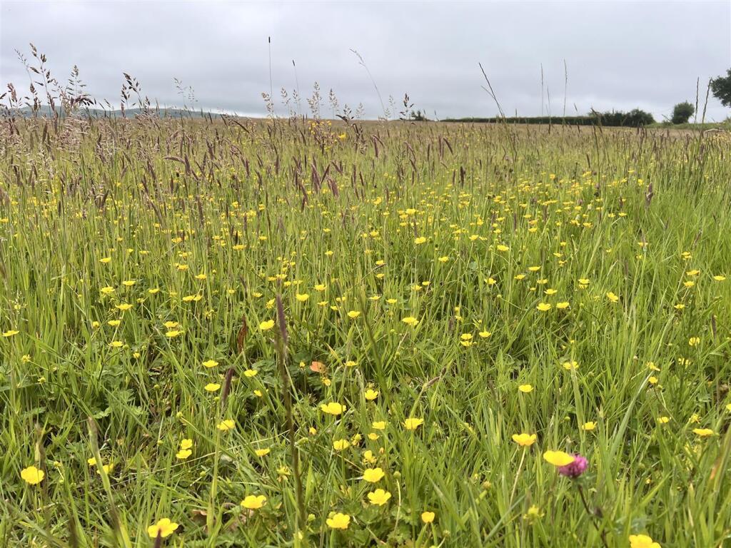 Main image of property: Appleford Lane, Appleford, Whitwell