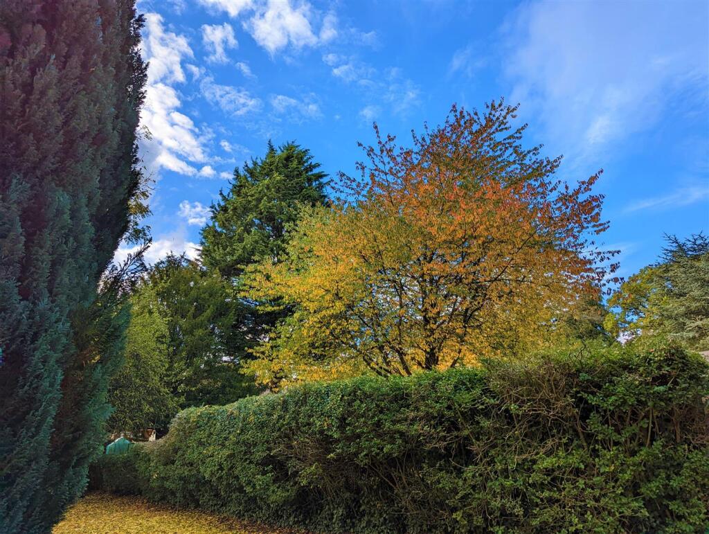 Additional image 15 of Linden Road, Bournville, Birmingham