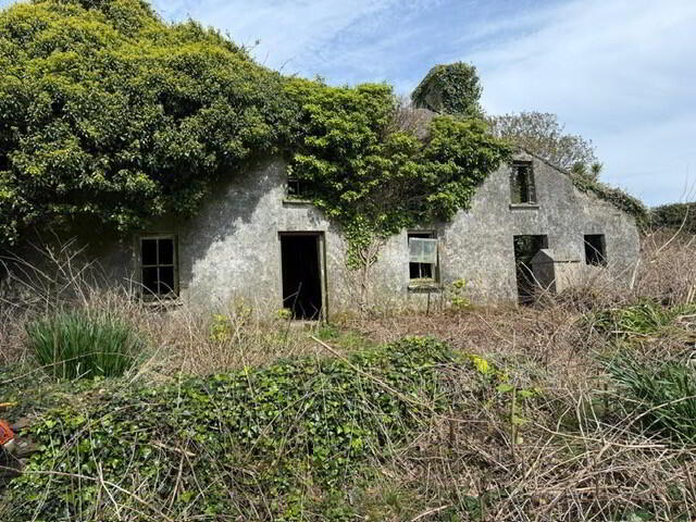 Main image of property: Ballydevlin, Goleen