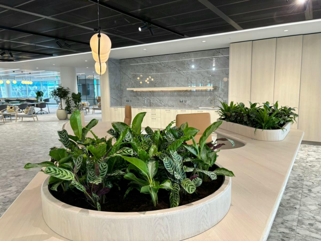 Level 9 show suite - reception