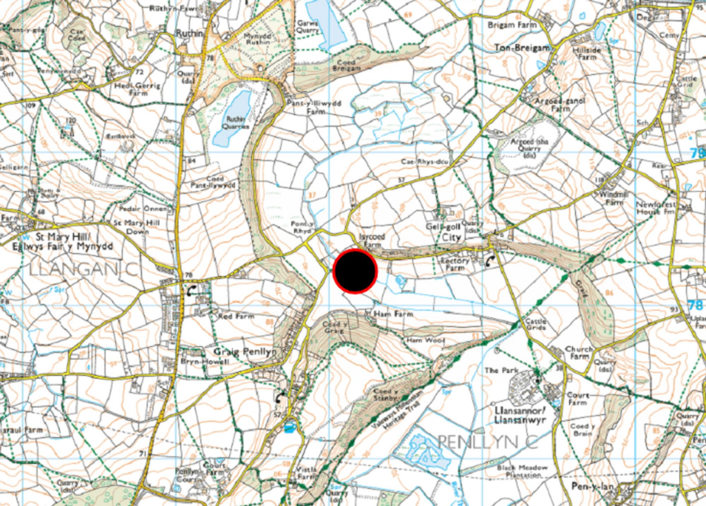 Lot 3: Approximately 12.82 acres of woodland, formerly part of Isycoed Farm, City, Cowbridge, CF71 7RW - View 5