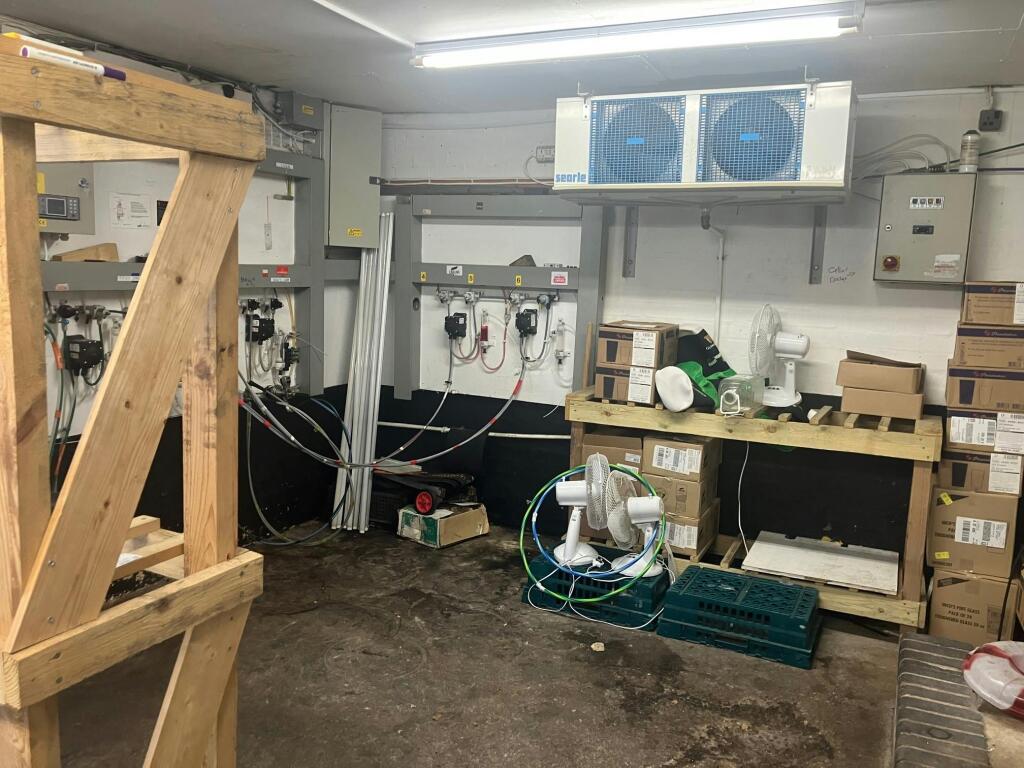 11 BHCellar.jpg