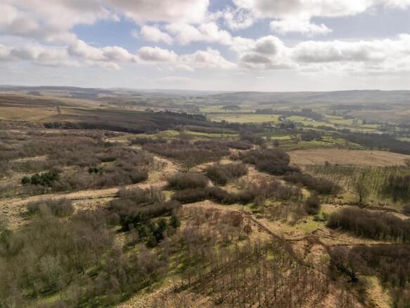 DJI_20260317104220_0230_D (1).jpg