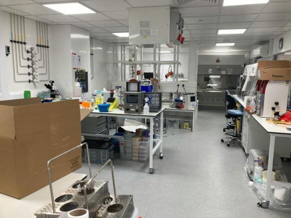 Lab 5.jpg