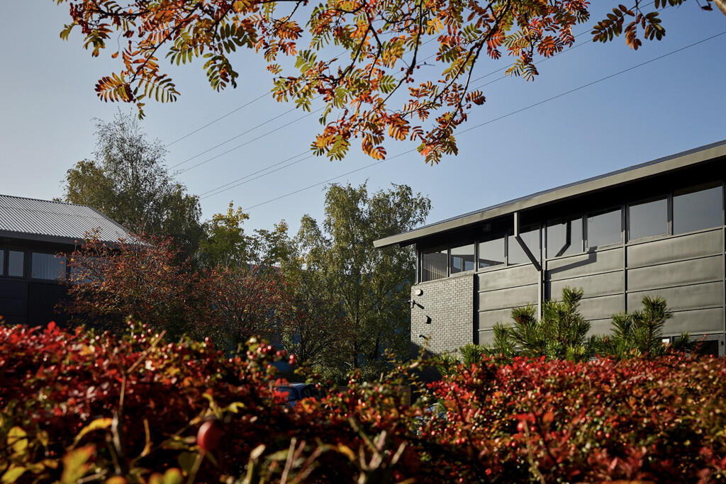 Landscaped Grounds