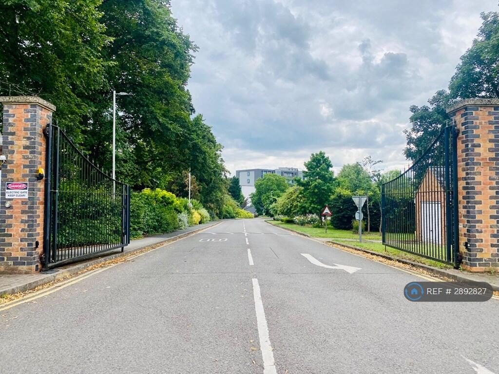 1 bedroom flat share for rent