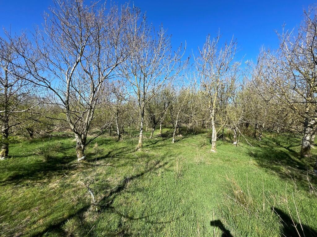 Additional image 6 of Lot 2 Woodland at Broadmuir, Hill of Fisherie, Turriff, AB53 5QL