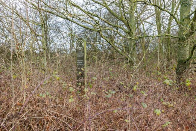 Woodland to the South of Main St Swepstone