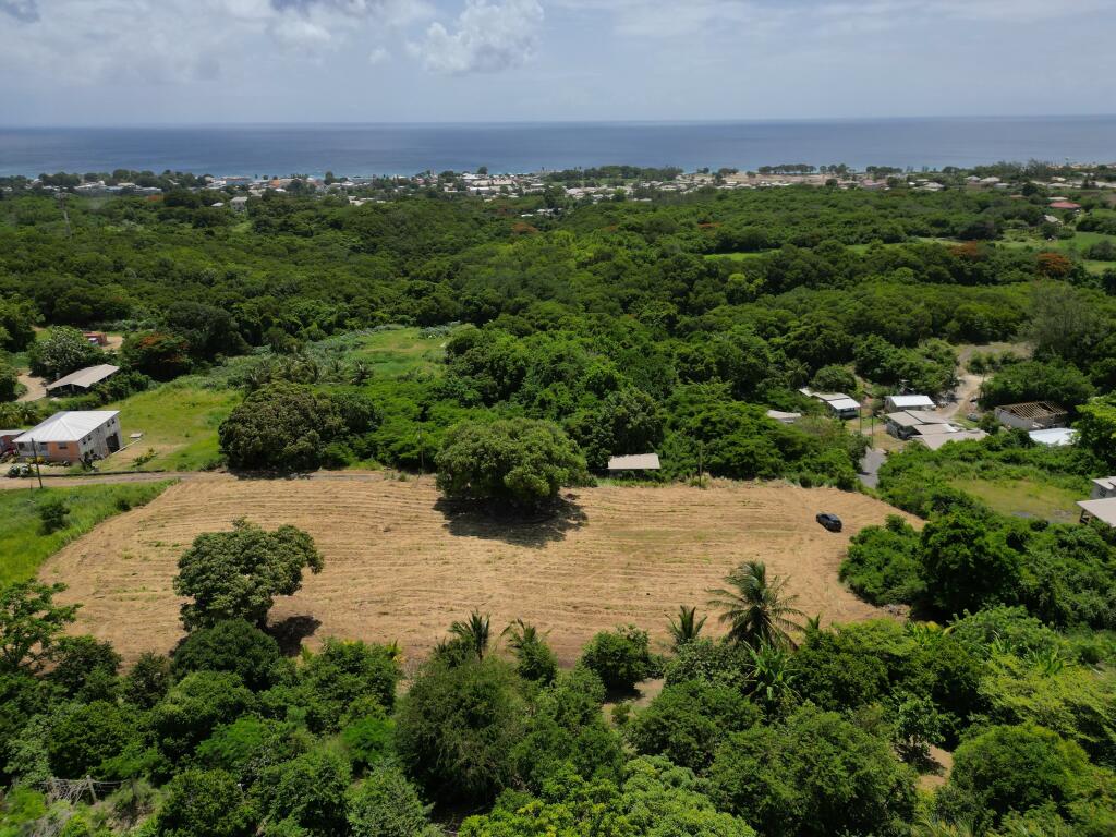 Main image of property: Barbados