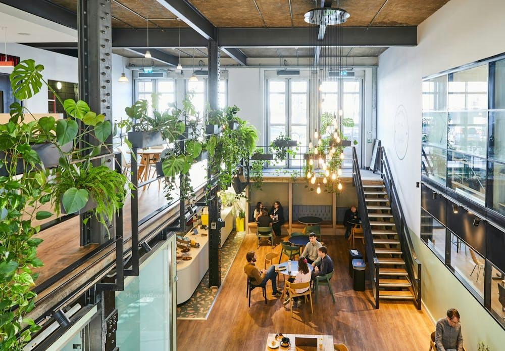 f cbfd44faf7e32f096e5f48-prs-cafe-2.jpg