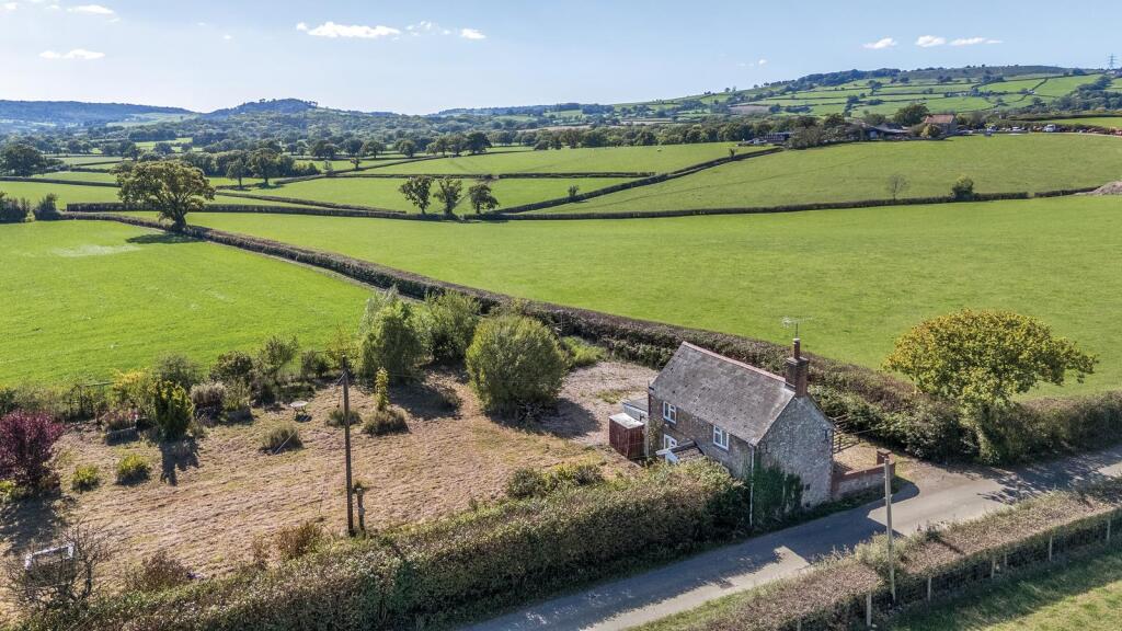 House in Marshwood, Dorset - More